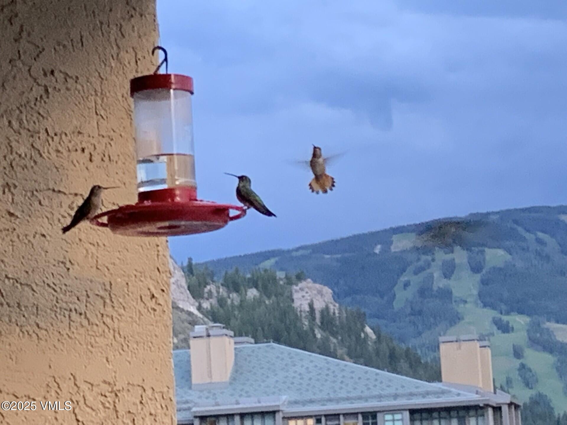 137 Benchmark Road, Unit 520 Avon, CO 81620 - Photo 21 of 26 a picture of a bathroom
