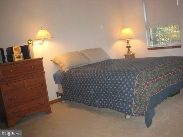 705 Sycamore Leaf Road Severn, MD 21144 - Photo 13 of 18 a bedroom with a bed and a lamp