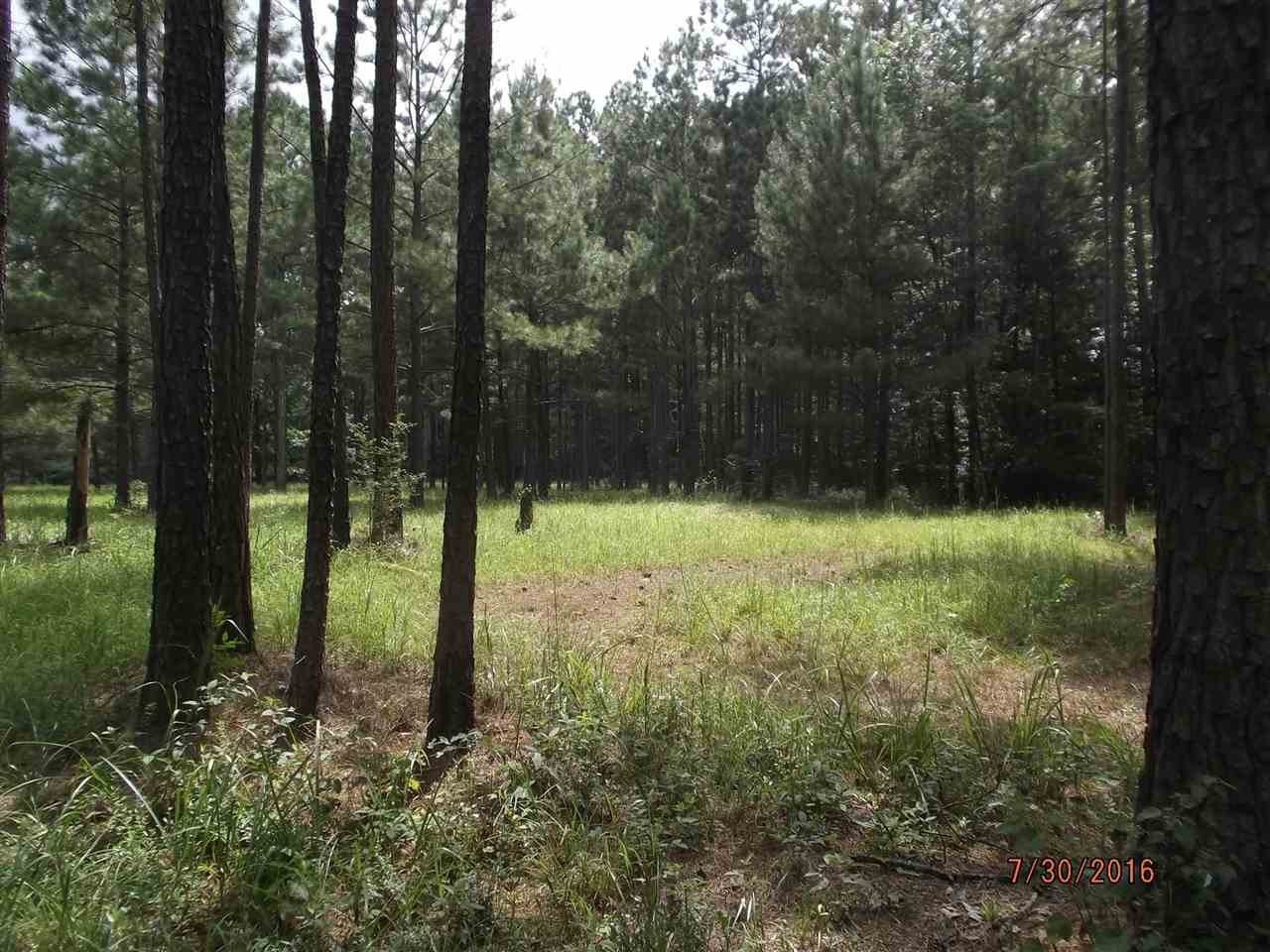 0 Pine Ridge Magee, MS 39111 - Photo 4 of 5 Photo 4