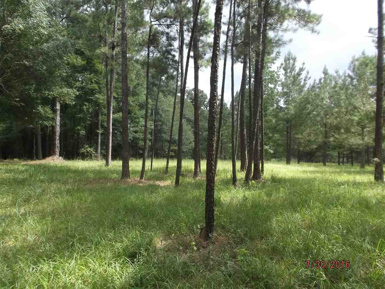 0 Pine Ridge Magee, MS 39111 - Photo 5 of 5 Photo 5