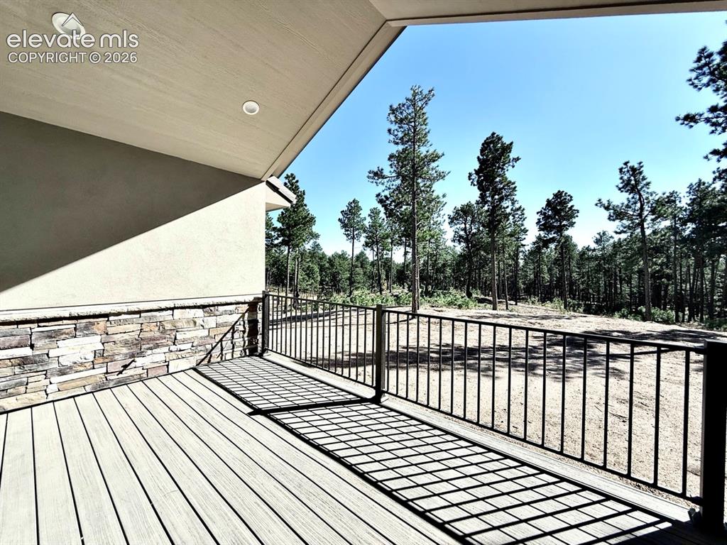 3145 Promise Point Colorado Springs, CO 80921 - Photo 24 of 28