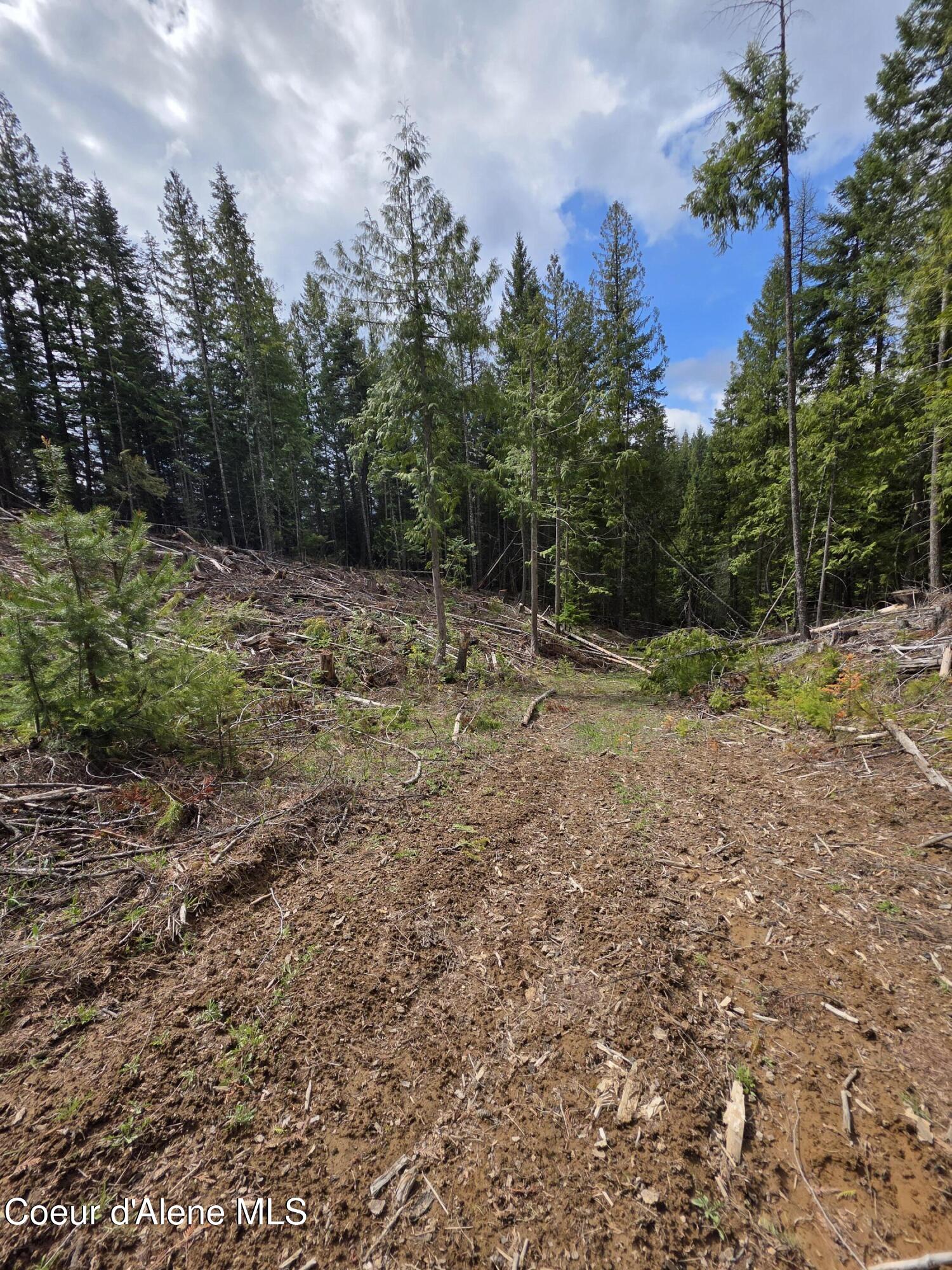 Nna Nna Cabin Loop Rd Street St. Maries, ID 83861 - Photo 1 of 1 20260428_111537
