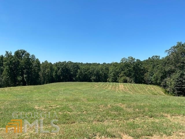 0 Hendley Road Roopville, GA 30170 - Photo 1 of 1 a view of an outdoor space and a yard