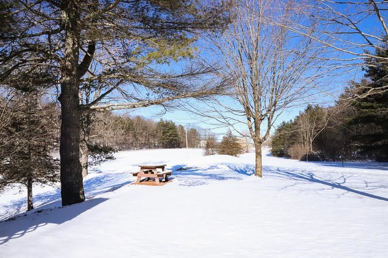 70 Timber Lane Monkton, VT 05472 - Photo 40 of 40 Gallery Image 40
