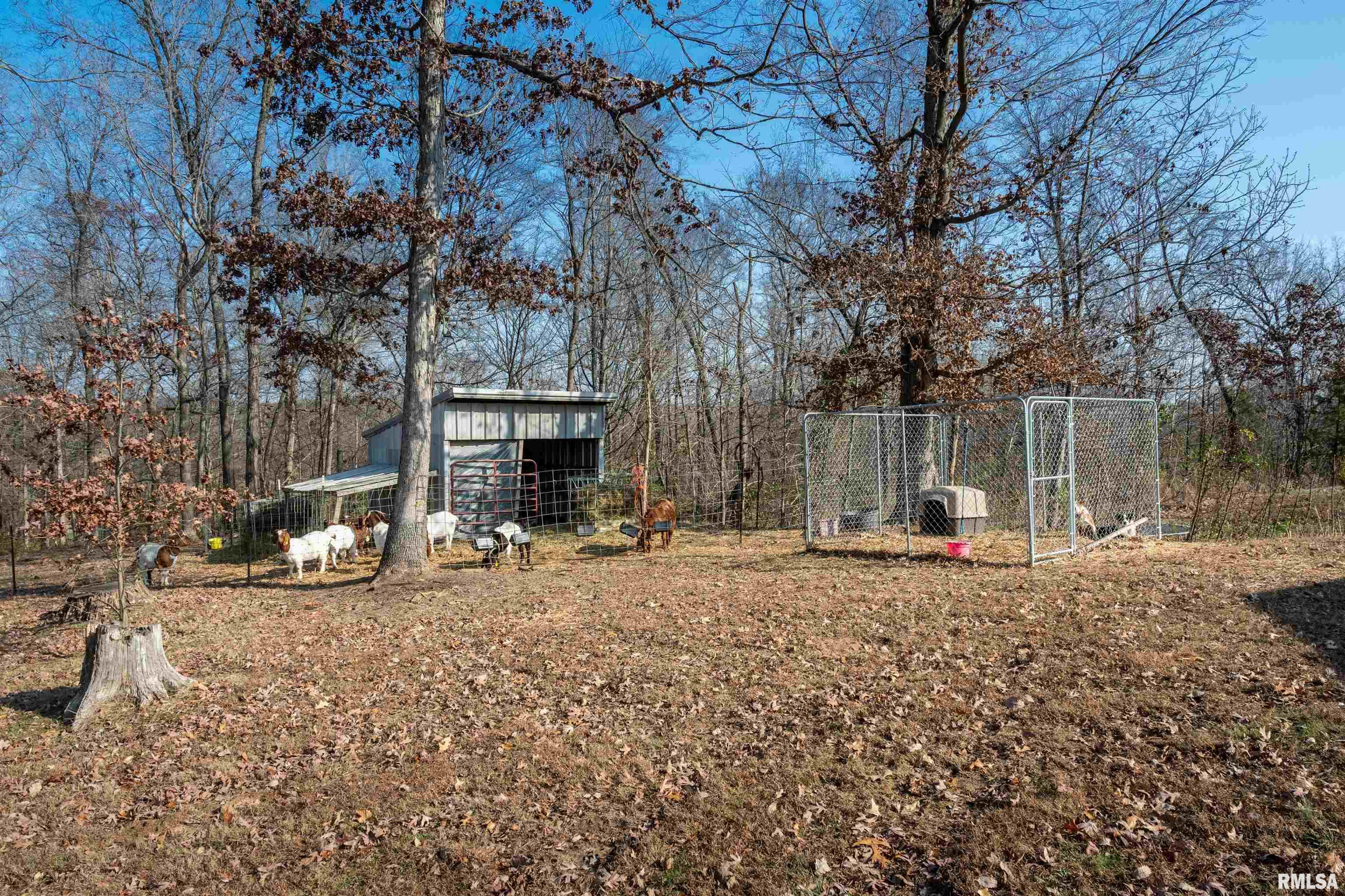1510 Reevesville Road Grantsburg, IL 62943 - Photo 35 of 36 Gallery Image 35