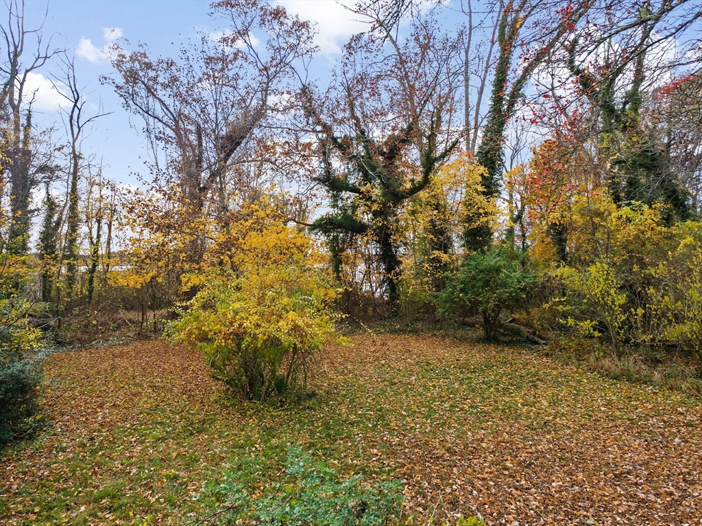 269 Middleboro Road Freetown, MA 02717 - Photo 3 of 42