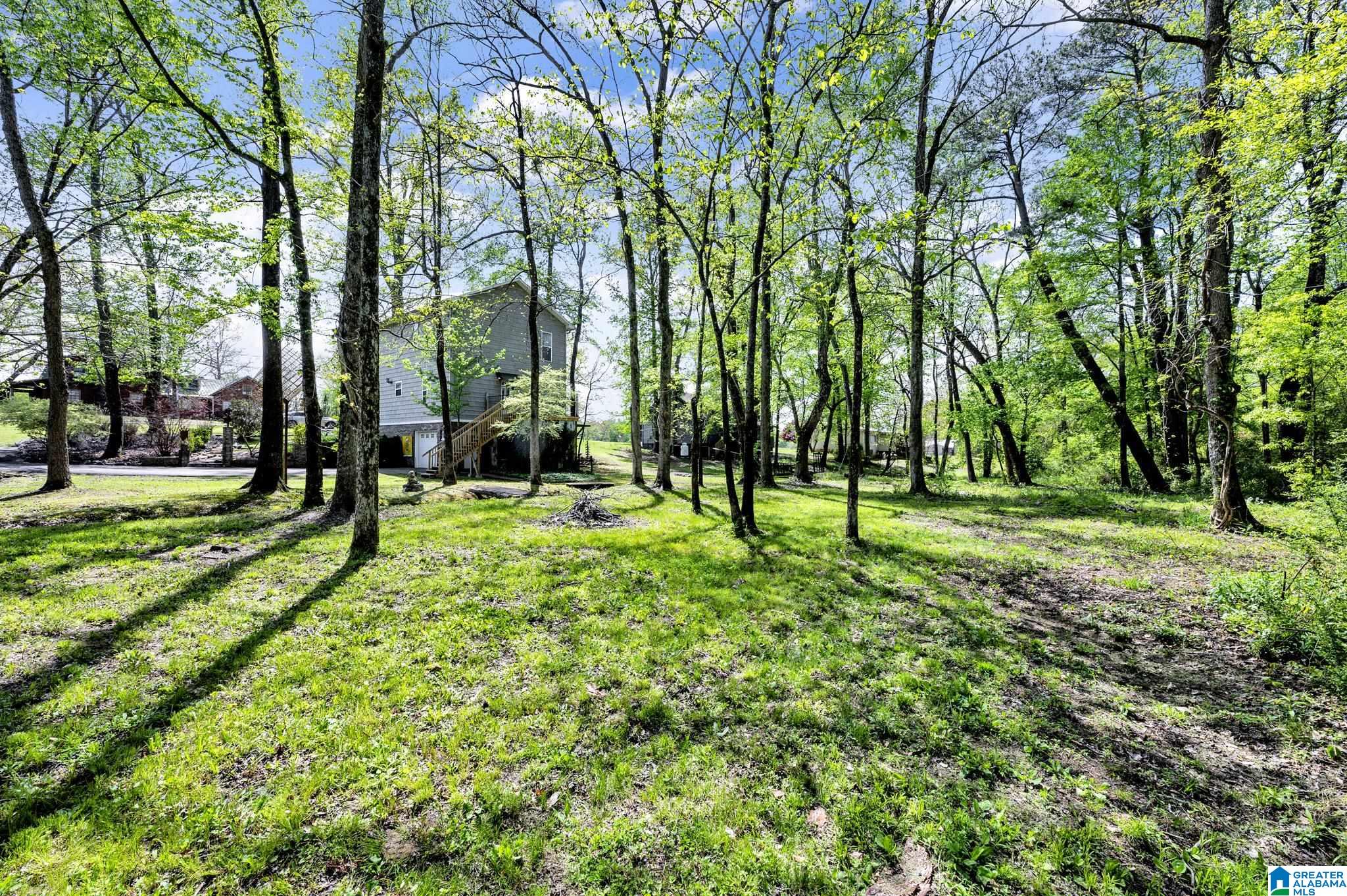4741 Jim Goggans Road Dora, AL 35062 - Photo 6 of 27