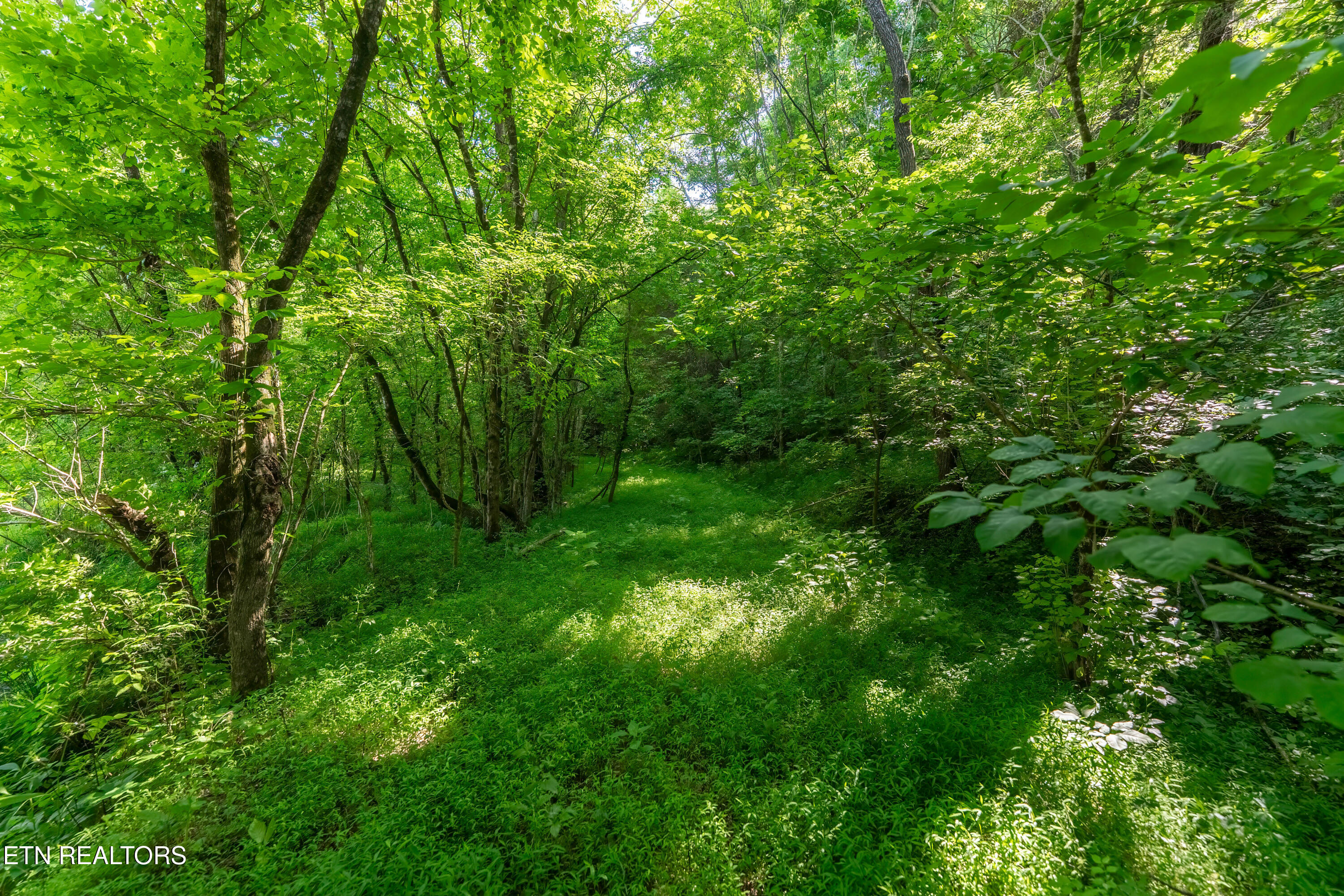 1921 Sockless Road Dandridge, TN 37725 - Photo 9 of 17 _DSC3850-HDR-Edit