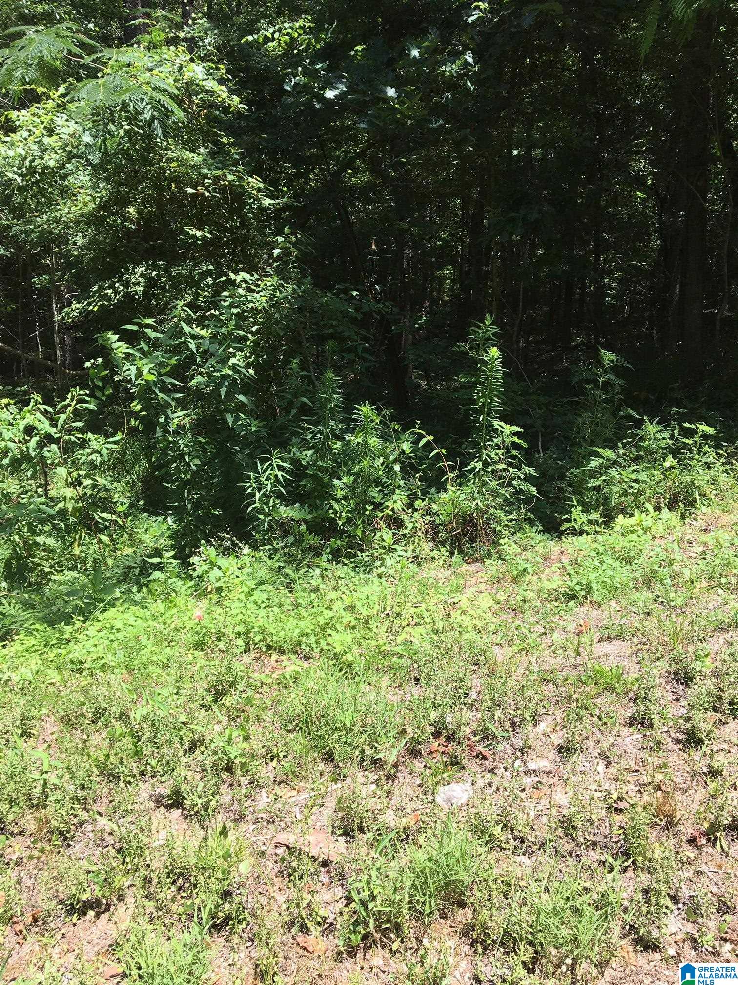 Mitchell Drive, Unit 11 Vance, AL 35490 - Photo 2 of 3