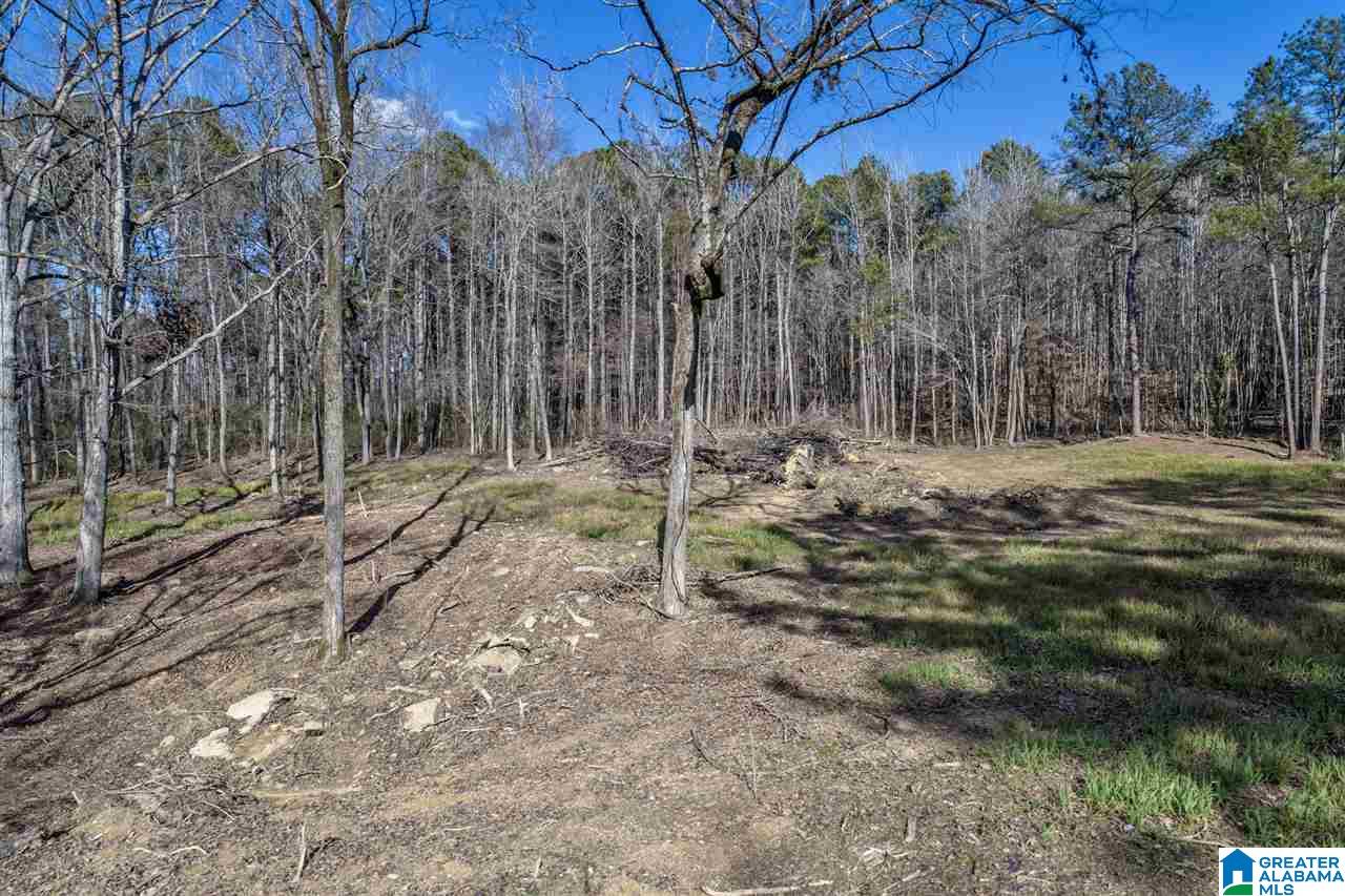 4491 Jim Tate Road Dora, AL 35062 - Photo 4 of 15