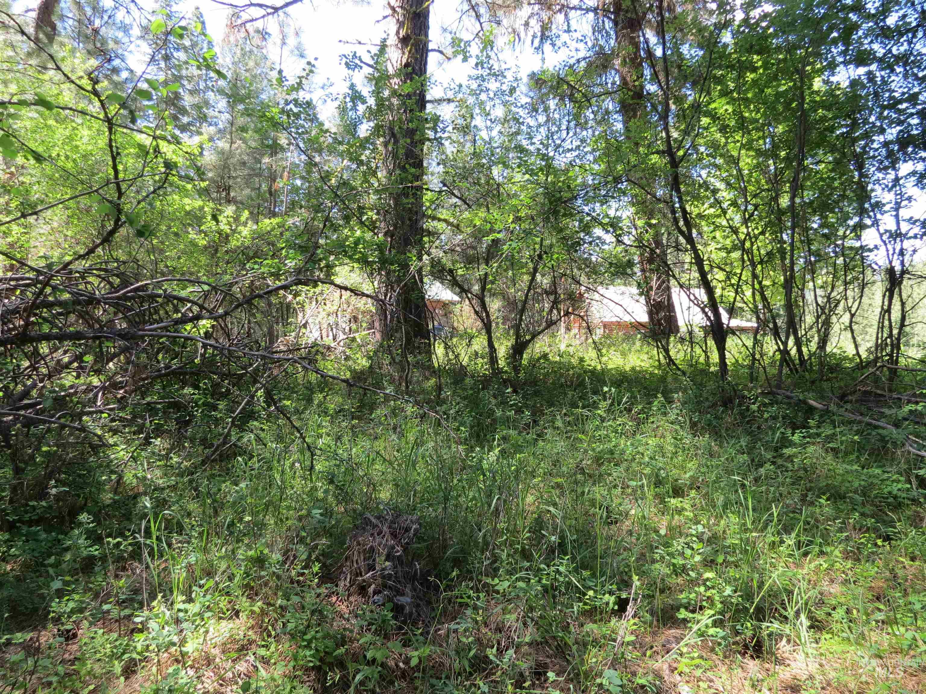Parcel C Caseys Road Garden Valley, ID 83622 - Photo 8 of 20
