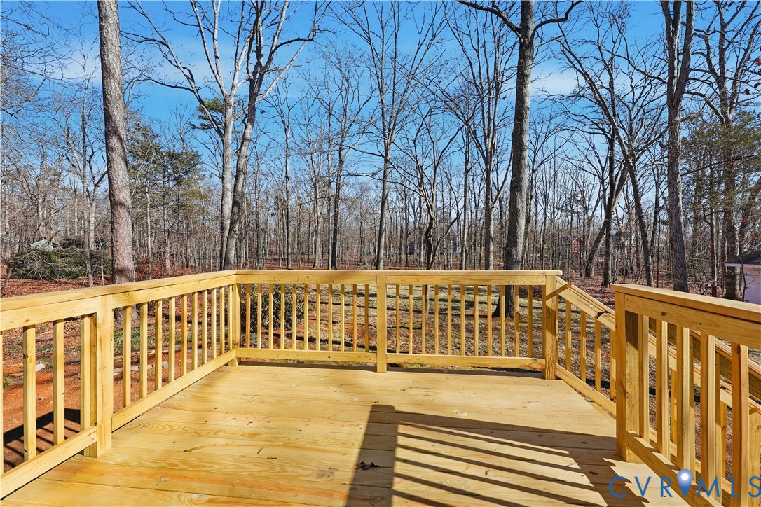 3264 Sherwood Ridge Way Powhatan, VA 23139 - Photo 33 of 40