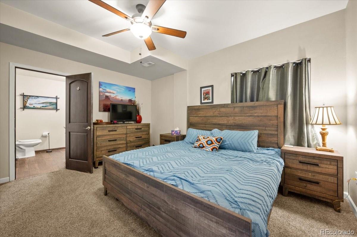 1313 Single Tree Lane Erie, CO 80516 - Photo 28 of 50