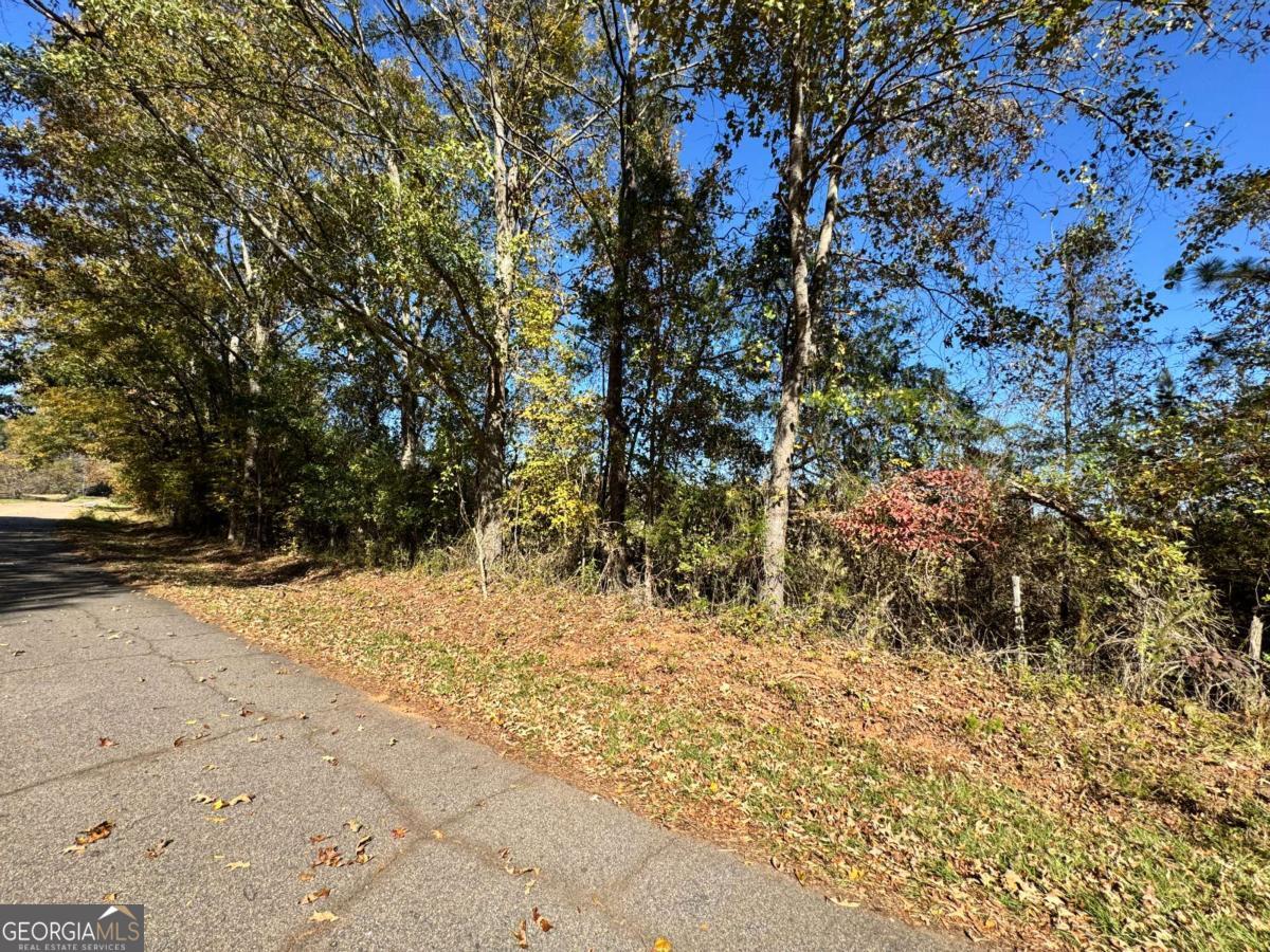 0 Taylor Road, Unit TRACT 1&2 Lexington, GA 30648 - Photo 14 of 18