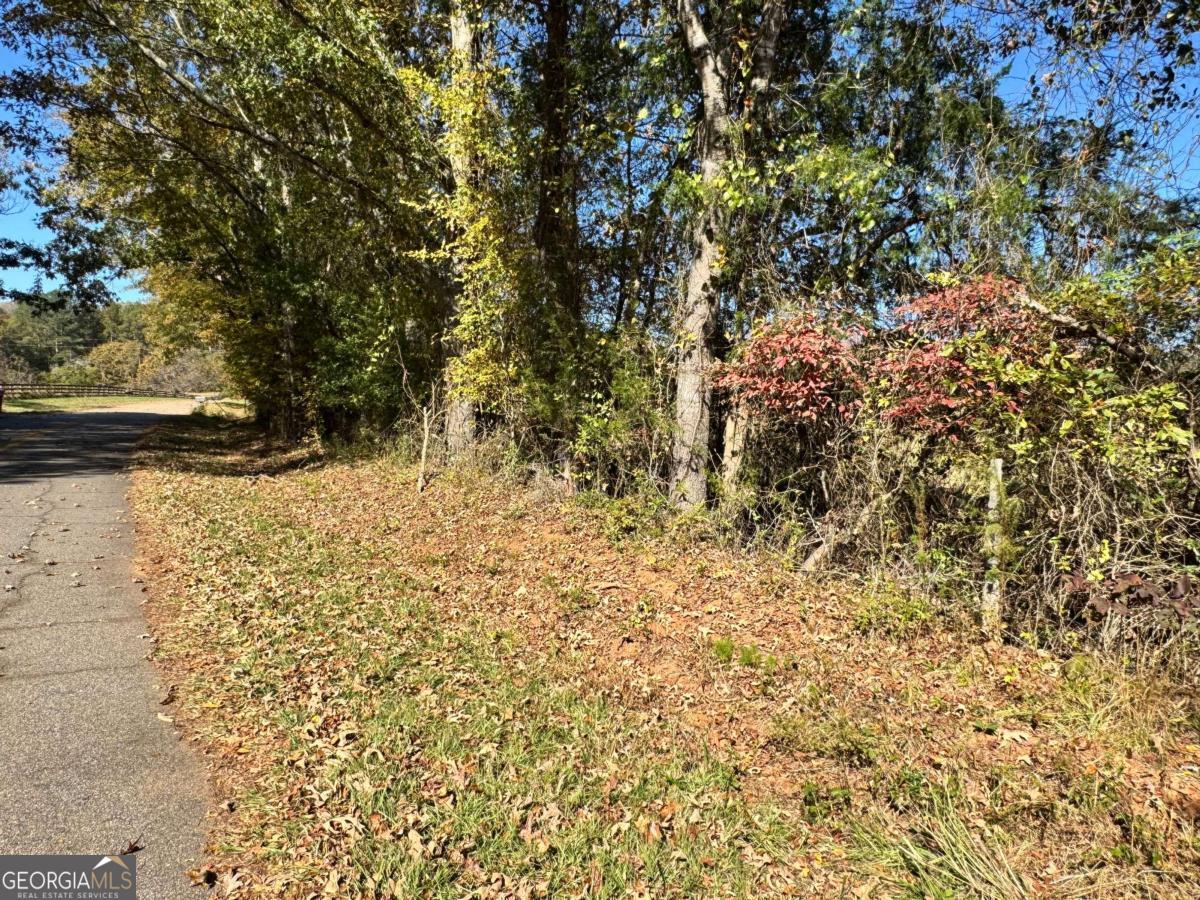 0 Taylor Road, Unit TRACT 1&2 Lexington, GA 30648 - Photo 15 of 18