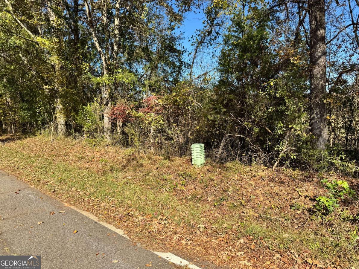 0 Taylor Road, Unit TRACT 1&2 Lexington, GA 30648 - Photo 2 of 18