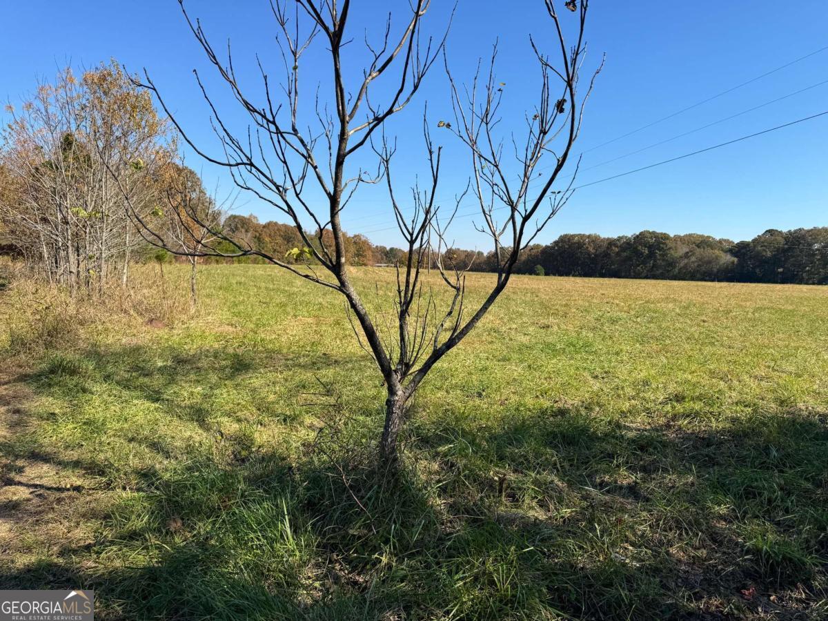 0 Taylor Road, Unit TRACT 1&2 Lexington, GA 30648 - Photo 8 of 18