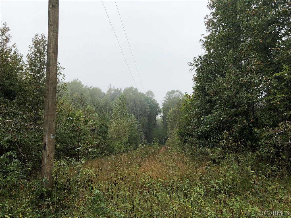 Xx Soap Stone Road Jetersville, VA 23083 - Photo 4 of 7 Gallery Image 4