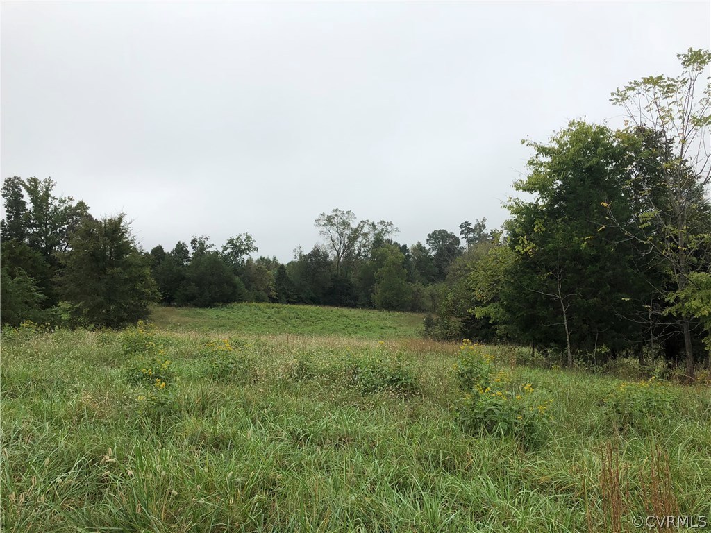 Xx Soap Stone Road Jetersville, VA 23083 - Photo 6 of 7 Gallery Image 6