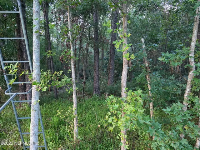 $329,900 | 1264 Winding Brook Court, Middleburg, FL 32068