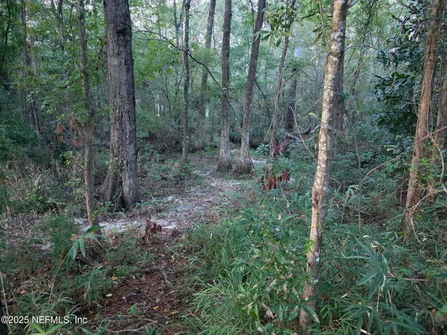 $329,900 | 1264 Winding Brook Court, Middleburg, FL 32068