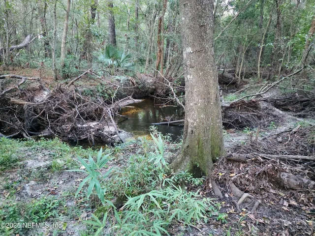 $329,900 | 1264 Winding Brook Court, Middleburg, FL 32068