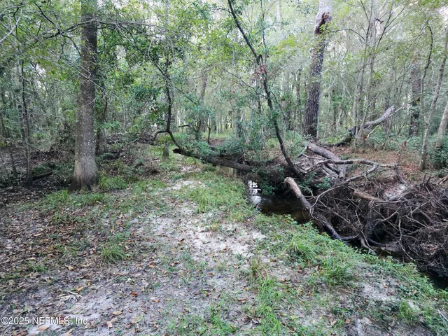 $329,900 | 1264 Winding Brook Court, Middleburg, FL 32068