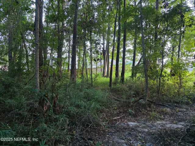 $329,900 | 1264 Winding Brook Court, Middleburg, FL 32068