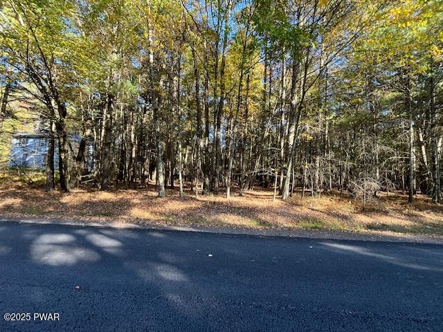 Lot 36 Fox Road Bushkill, PA 18324 - Photo 4 of 10