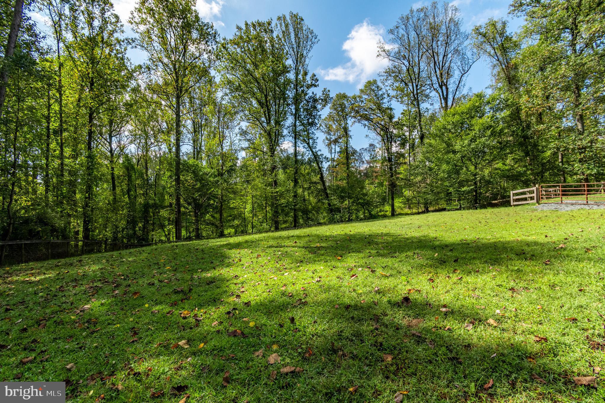 7145 Deer Valley Road Highland, MD 20777 - Photo 57 of 75 a view of a field with trees in the background