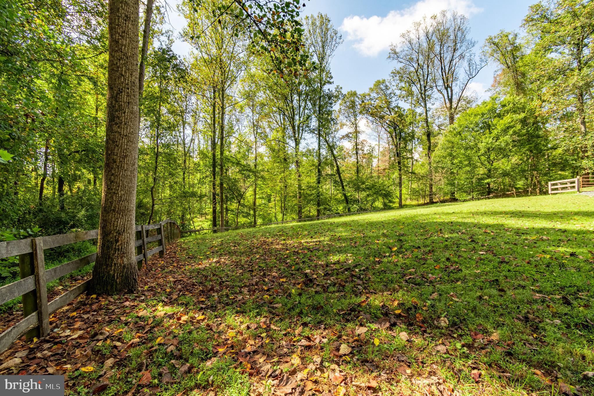 7145 Deer Valley Road Highland, MD 20777 - Photo 58 of 75 a view of field with trees in the background