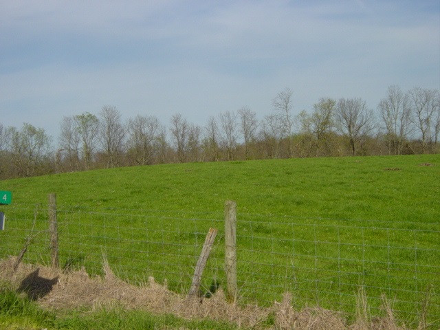 0 Augusta-dover Road Augusta, KY 41002 - Photo 6 of 21 Gallery Image 6