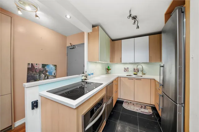 $325,000 | 247 East Chestnut Street, Unit 502, Chicago, IL 60611