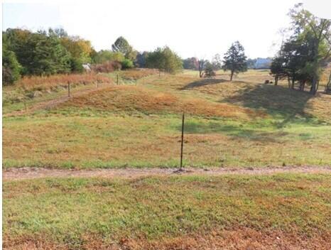 0 Buck Ridge Road Bidwell, OH 45614 - Photo 2 of 6 View of the land