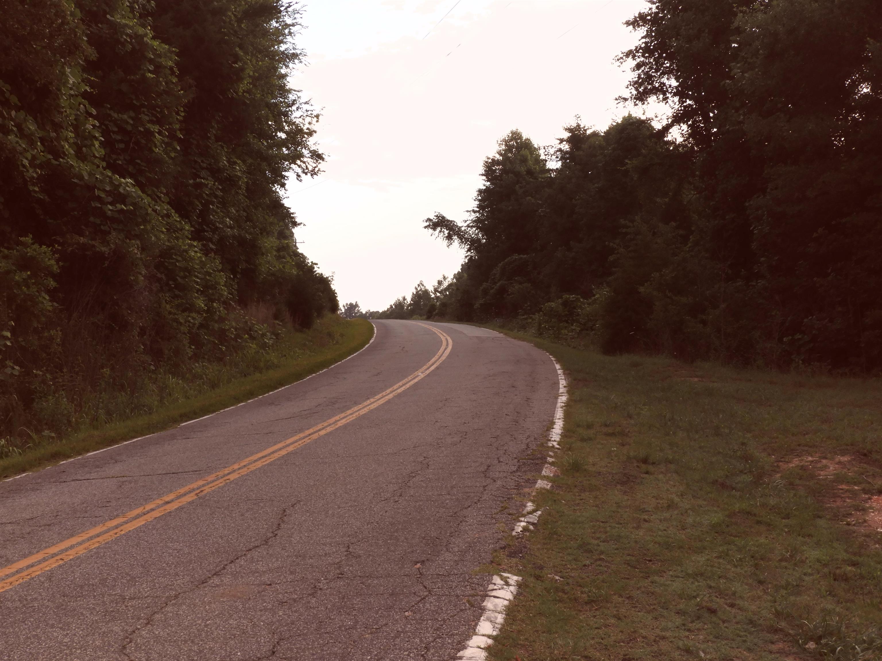 2109-tract D 2109-tract D Riddle Road Pauline, SC 29374 - Photo 17 of 42