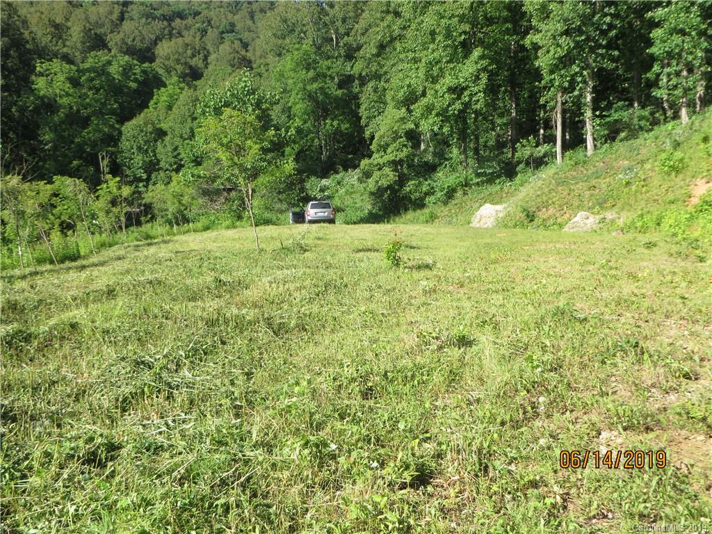 Tbd Walnut Ridge Drive Clyde, NC 28721 - Photo 11 of 17 a view of a garden with a tree