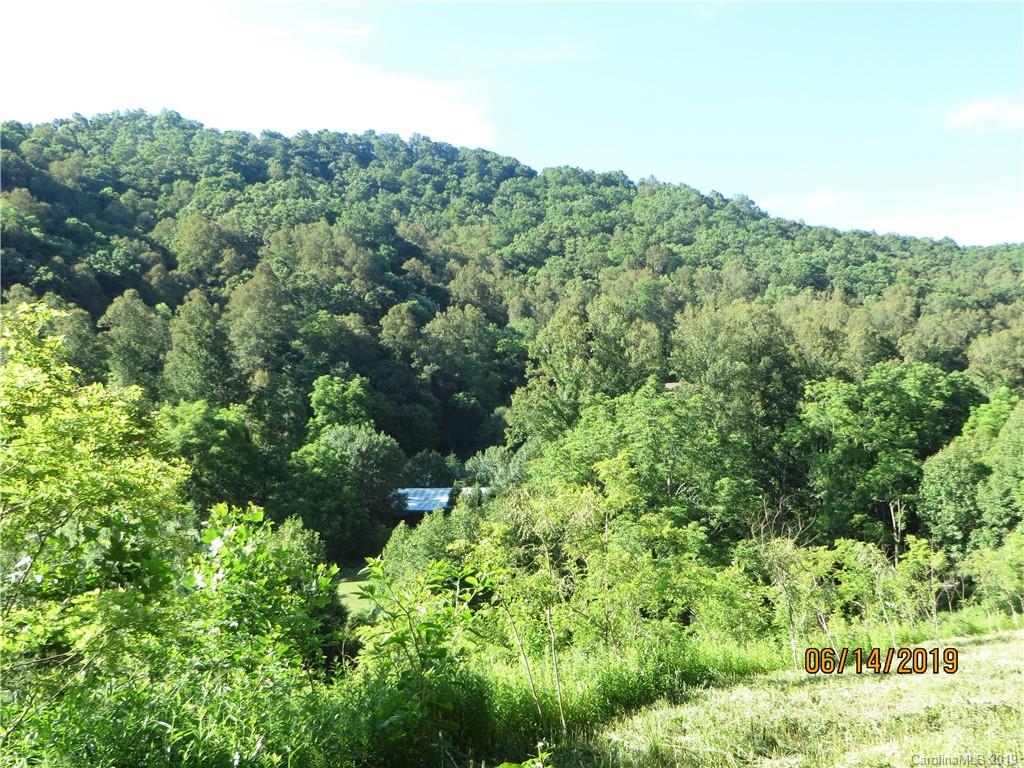 Tbd Walnut Ridge Drive Clyde, NC 28721 - Photo 12 of 17 a view of a lush green forest with trees in the background