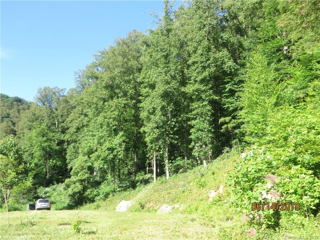 Tbd Walnut Ridge Drive Clyde, NC 28721 - Photo 13 of 17 a view of a yard with plants and large trees