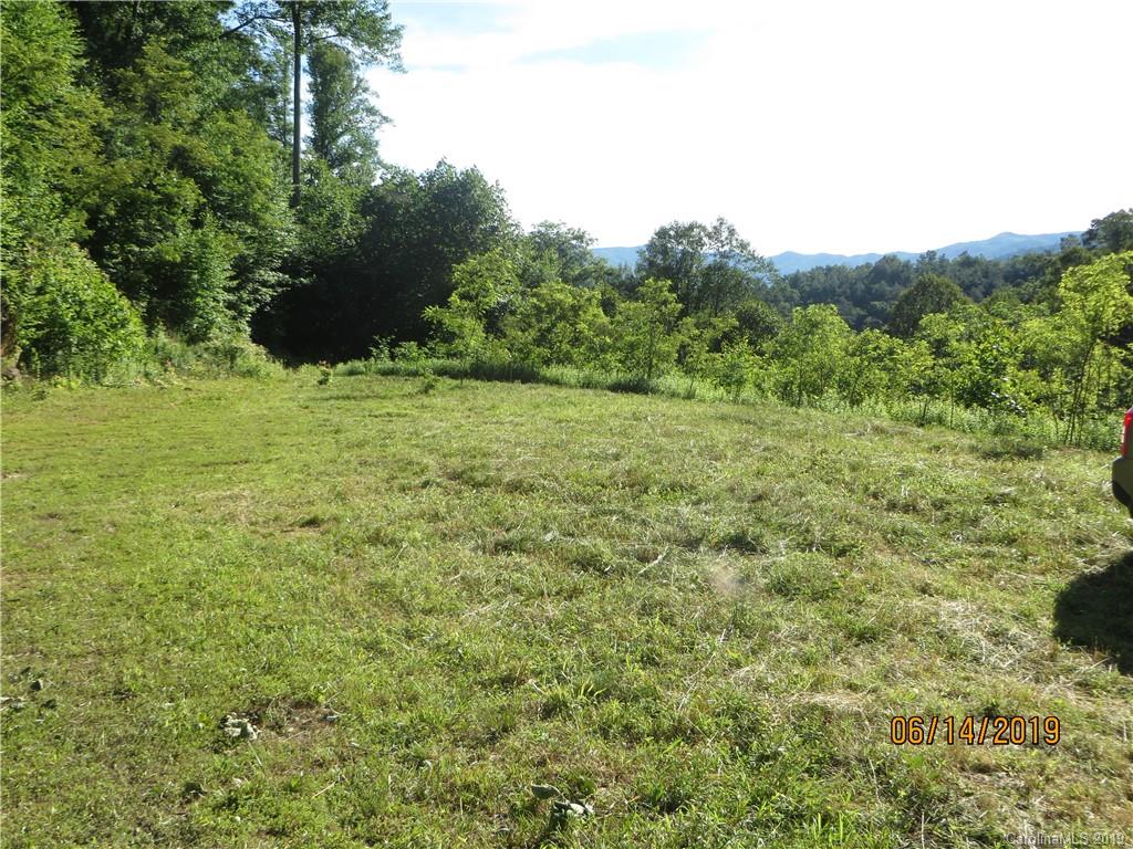 Tbd Walnut Ridge Drive Clyde, NC 28721 - Photo 16 of 17 a view of a large yard with lots of green space