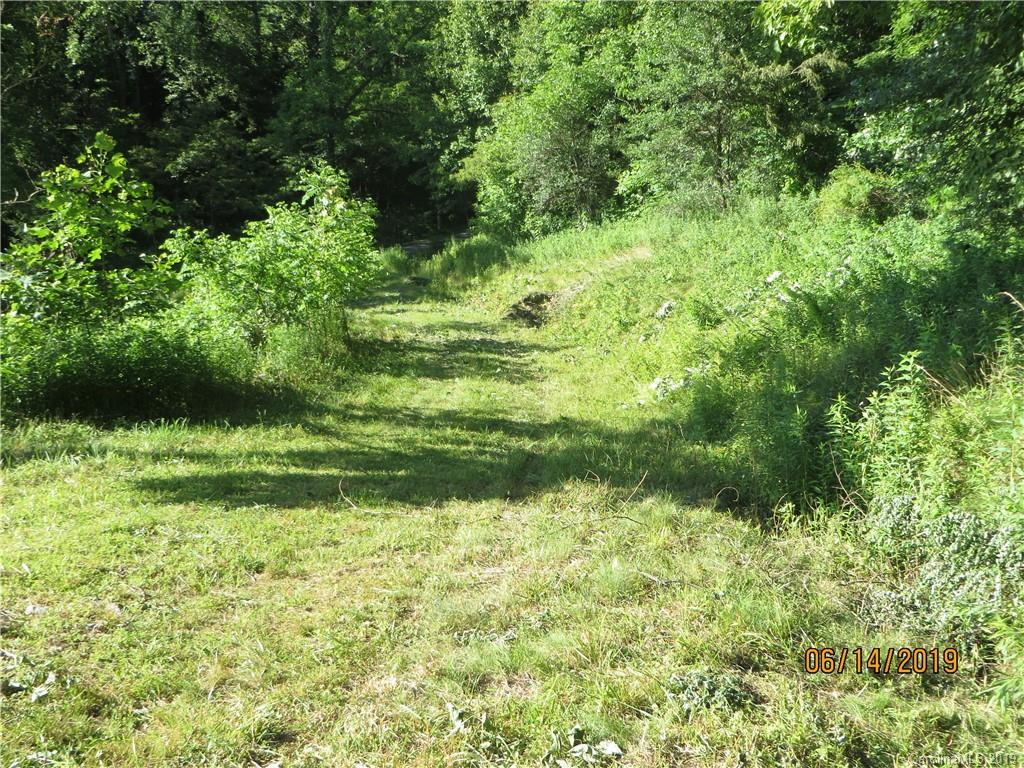 Tbd Walnut Ridge Drive Clyde, NC 28721 - Photo 17 of 17 a view of a garden