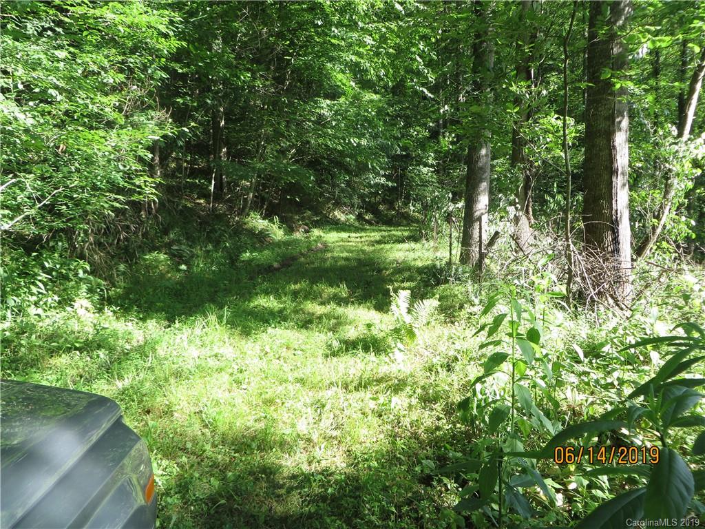 Tbd Walnut Ridge Drive Clyde, NC 28721 - Photo 3 of 17 a view of a garden
