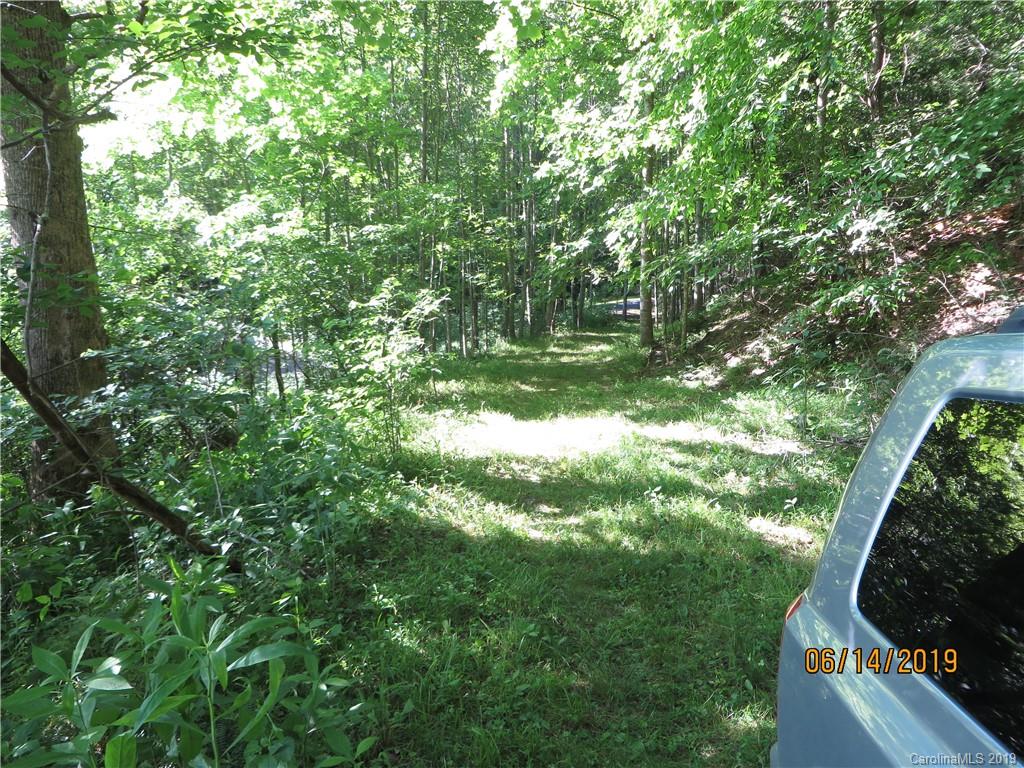 Tbd Walnut Ridge Drive Clyde, NC 28721 - Photo 4 of 17 a view of a tree in a yard