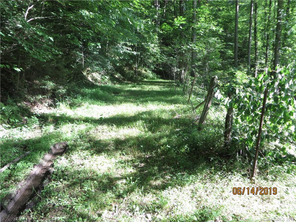 Tbd Walnut Ridge Drive Clyde, NC 28721 - Photo 6 of 17 a view of outdoor space and yard