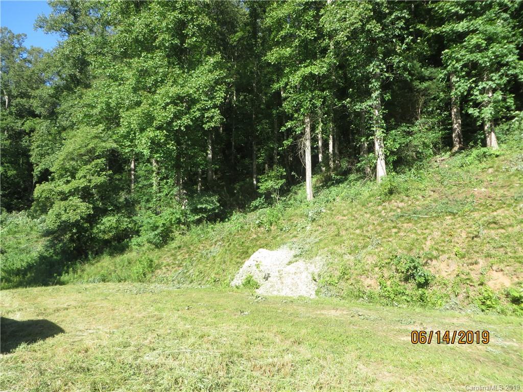 Tbd Walnut Ridge Drive Clyde, NC 28721 - Photo 10 of 17 a view of a big yard with large trees