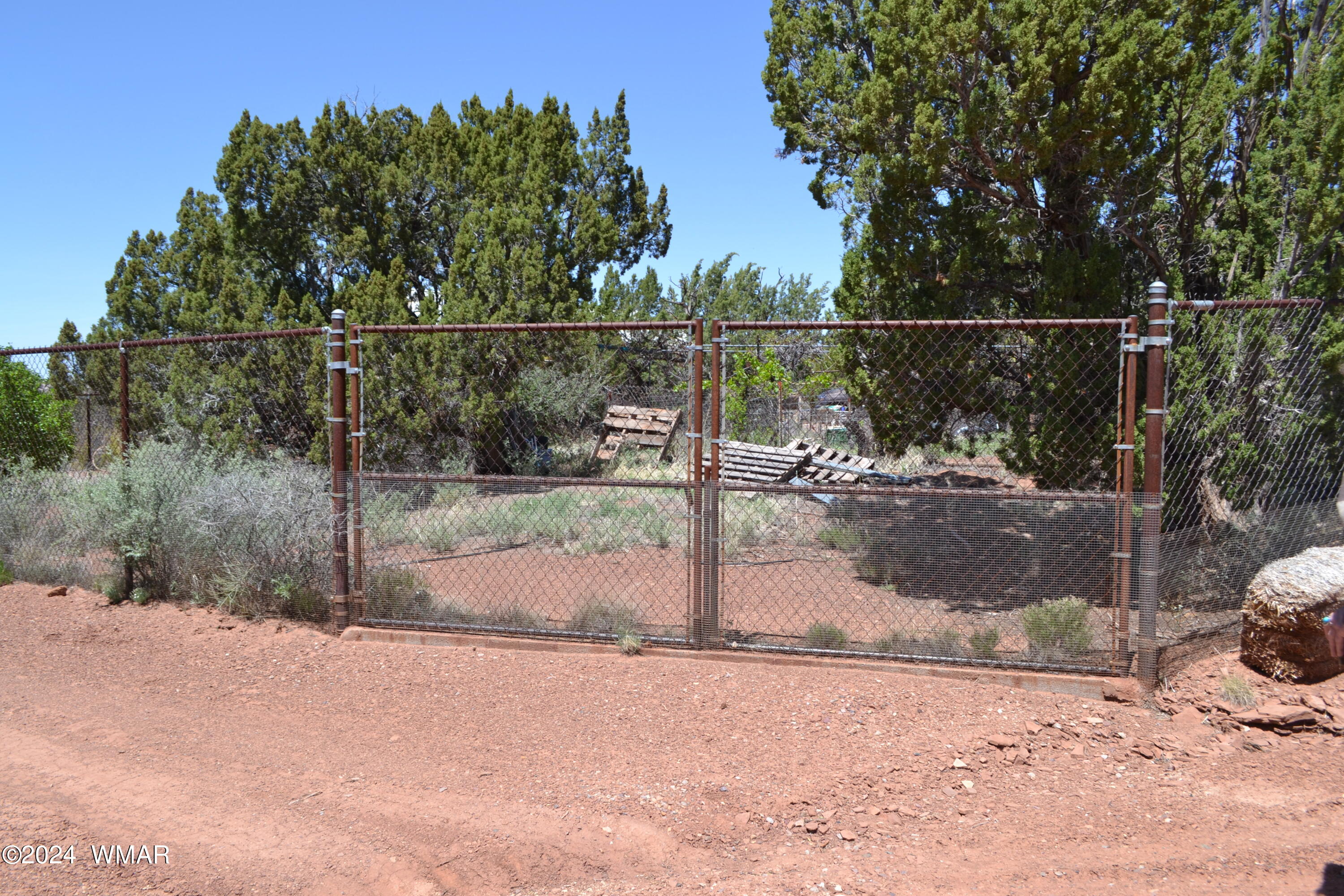 3733 Del Contento Snowflake, AZ 85937 - Photo 59 of 72 Double gates to fenced garden area.