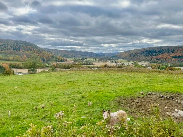 $1,500,000 | 7898 State Highway, Sherburne, NY 13460