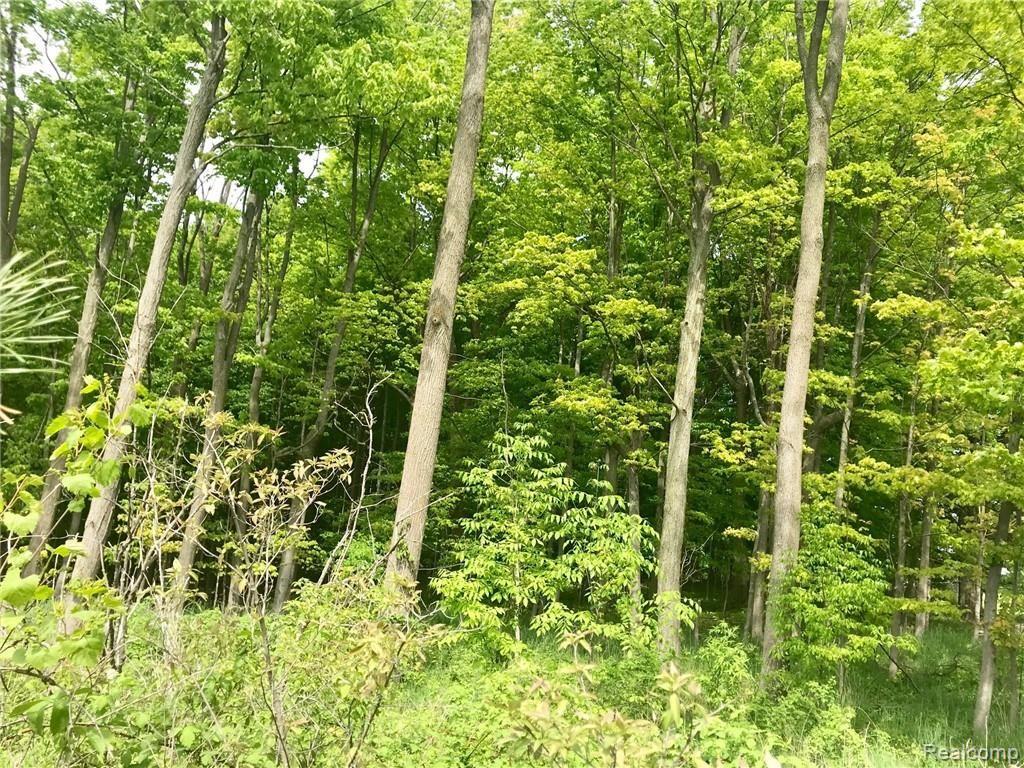5675 Phillips Road Clifford, MI 48727 - Photo 71 of 78 IMG_0742.jpg