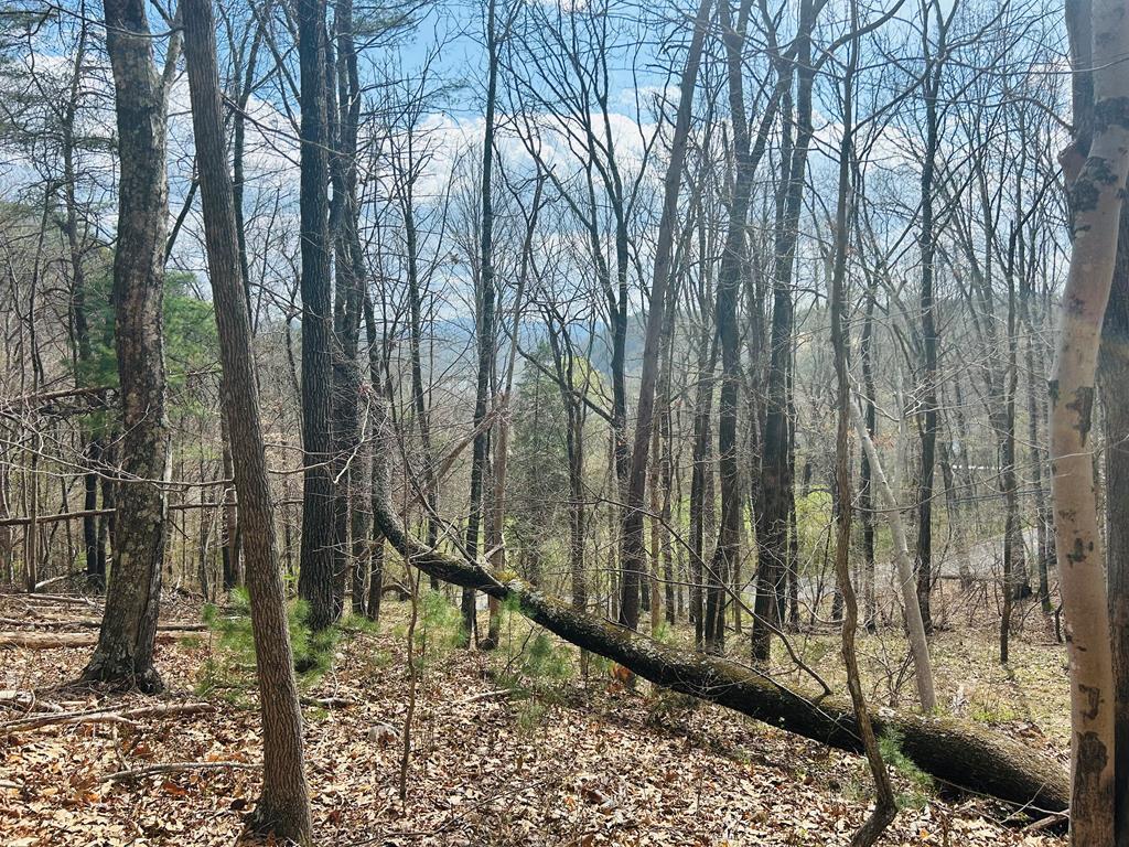 Tbd Julia Simpkins Road, Unit 118 Hiwassee, VA 24347 - Photo 22 of 22 Gallery Image 22