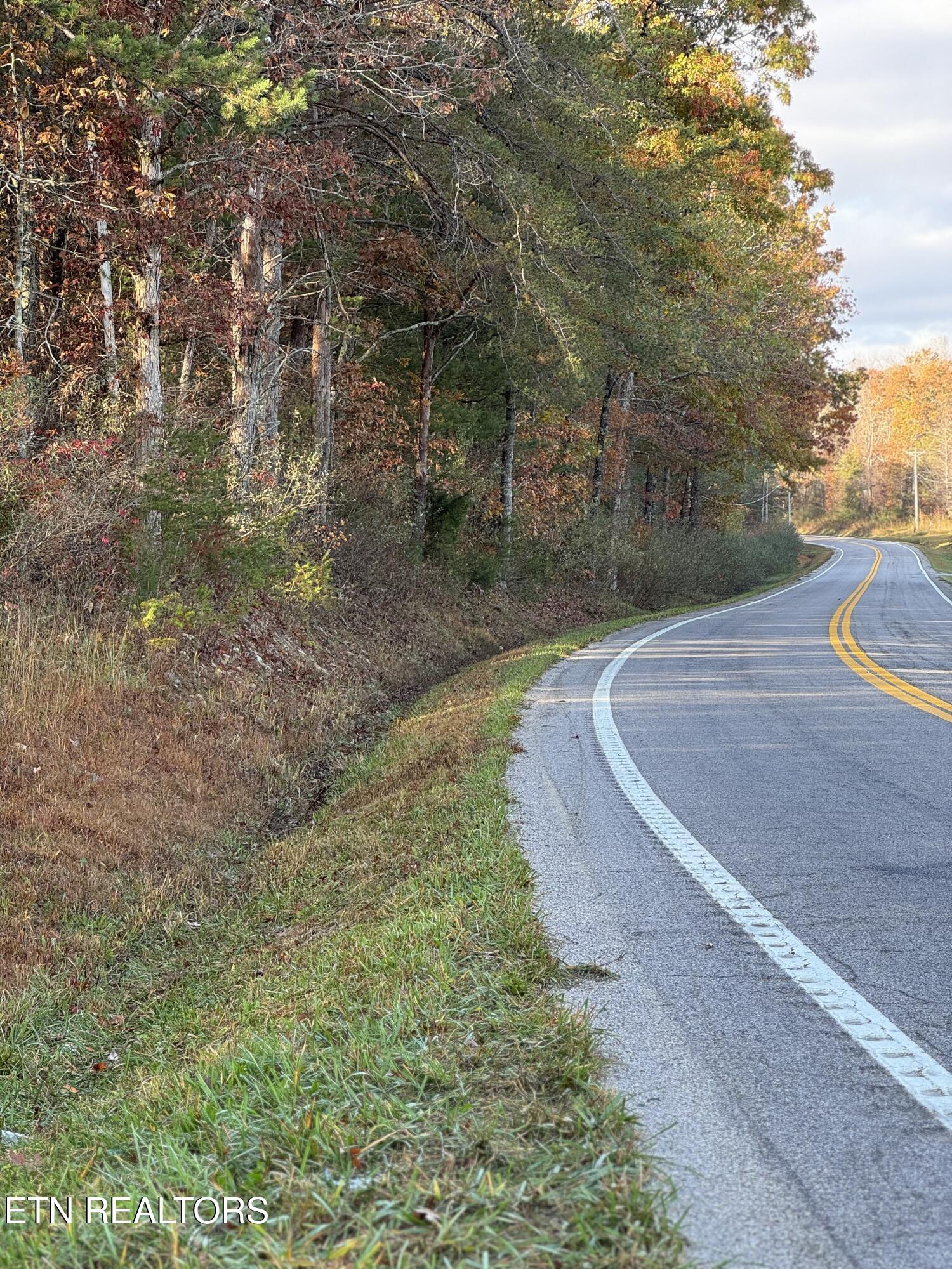 Airport Road Oakdale, TN 37829 - Photo 3 of 7 IMG_5258