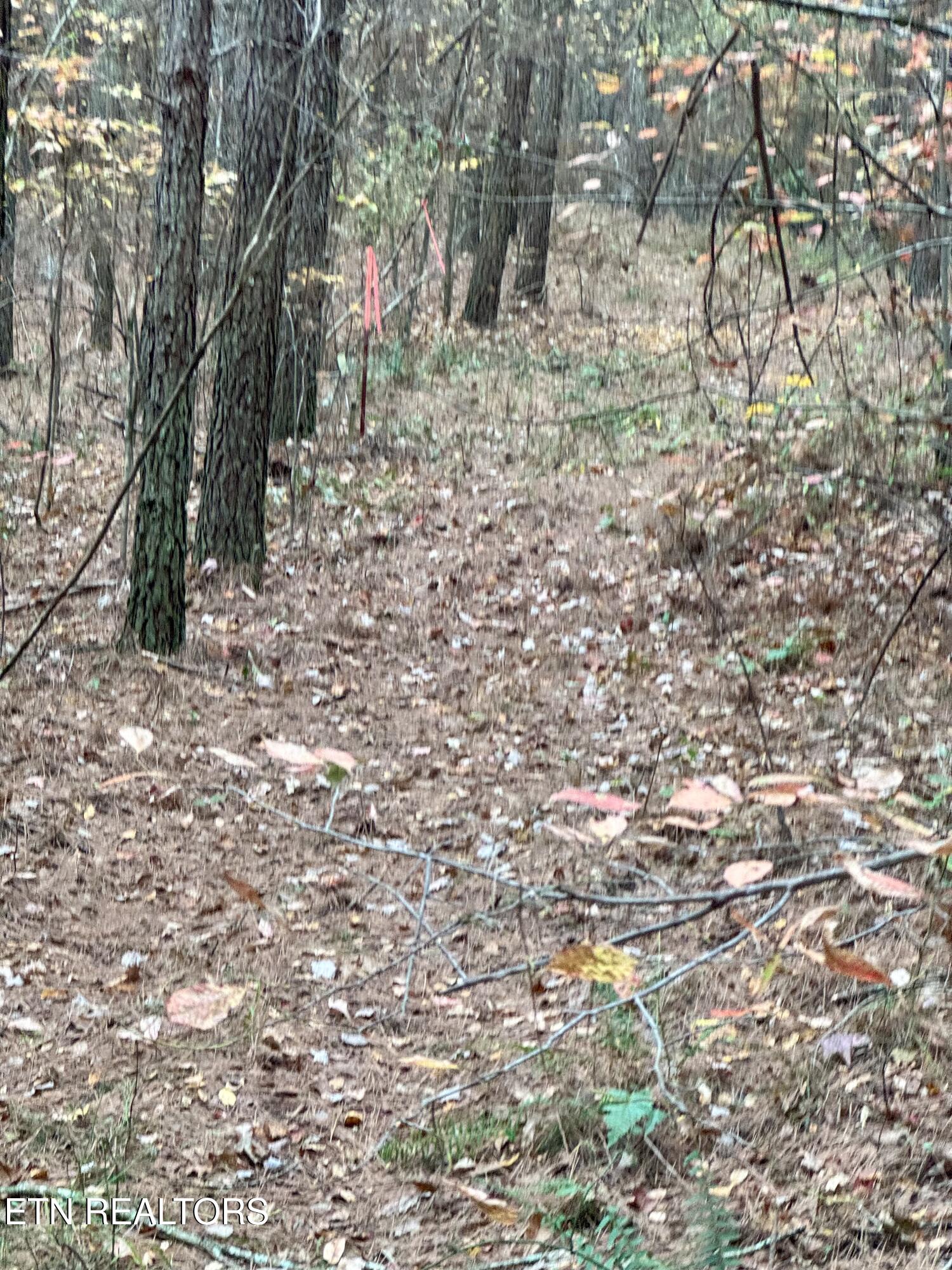 Airport Road Oakdale, TN 37829 - Photo 5 of 7 IMG_5263